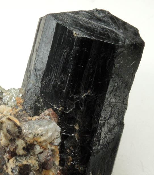 Schorl Tourmaline from Morgan Pit, above the Harvard Quarry, Noyes Mountain, Greenwood, Oxford County, Maine