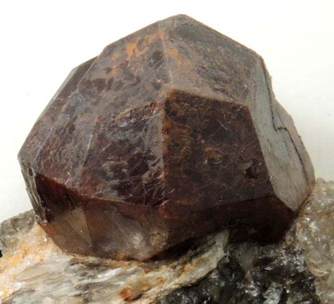 Almandine Garnet from Trenton Quarry, Topsham, Sagadahoc County, Maine