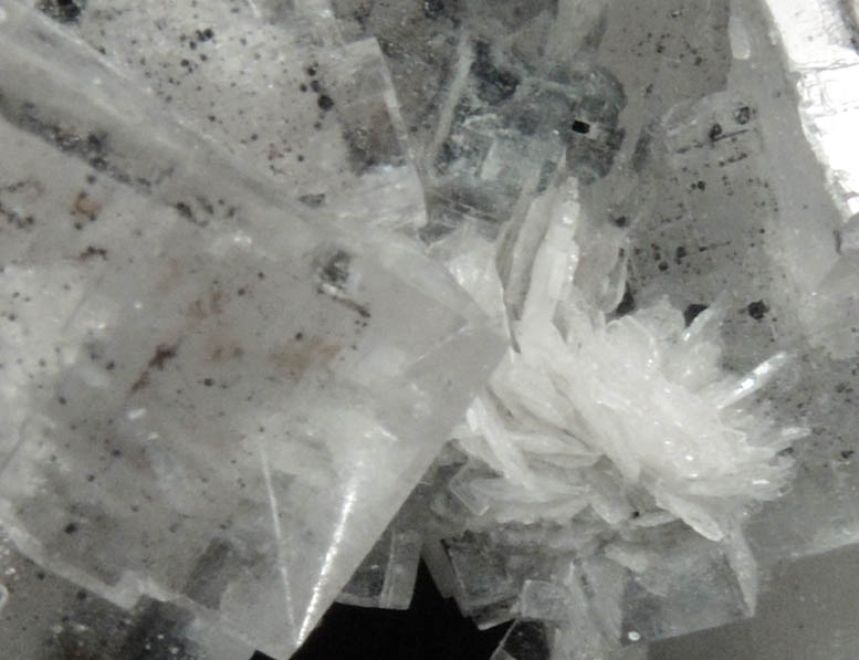 Barite on Fluorite with Bitumen inclusions from Mina Emilio, Loroñe, Caravia District, Asturias, Spain