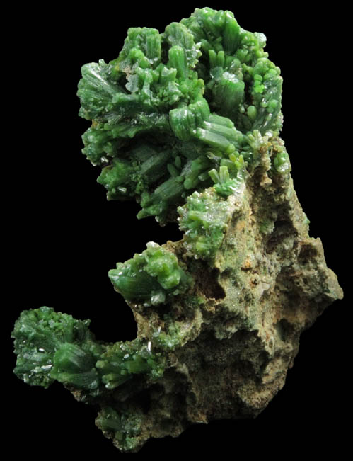 Pyromorphite from Mine des Farges, Ussel, Corrze, France