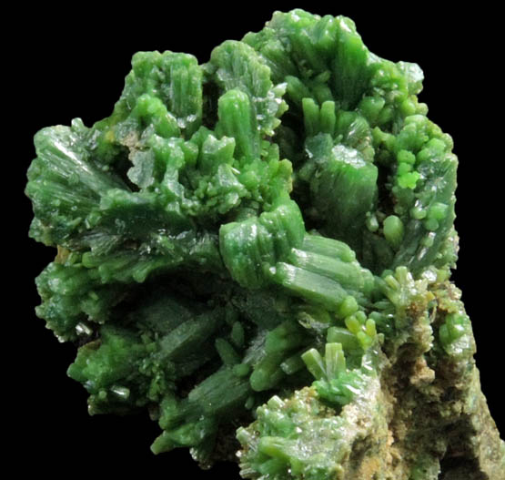 Pyromorphite from Mine des Farges, Ussel, Corrze, France