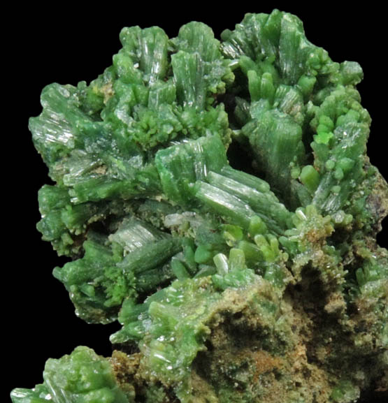 Pyromorphite from Mine des Farges, Ussel, Corrze, France