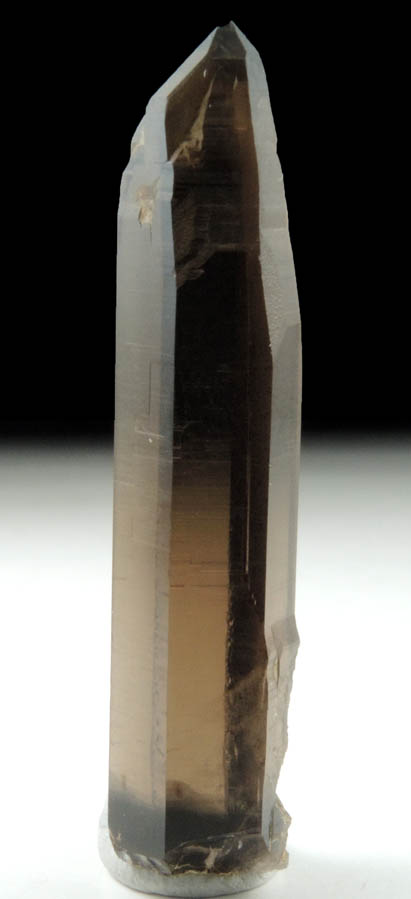 Quartz var. Smoky Quartz (Dauphin Law Twin) from Hurricane Mountain, east of Intervale, Carroll County, New Hampshire