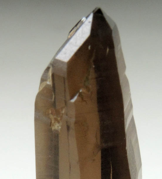 Quartz var. Smoky Quartz (Dauphin Law Twin) from Hurricane Mountain, east of Intervale, Carroll County, New Hampshire