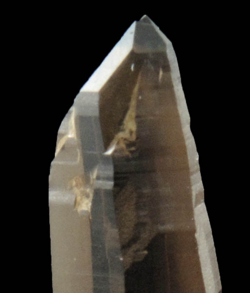 Quartz var. Smoky Quartz (Dauphin Law Twin) from Hurricane Mountain, east of Intervale, Carroll County, New Hampshire