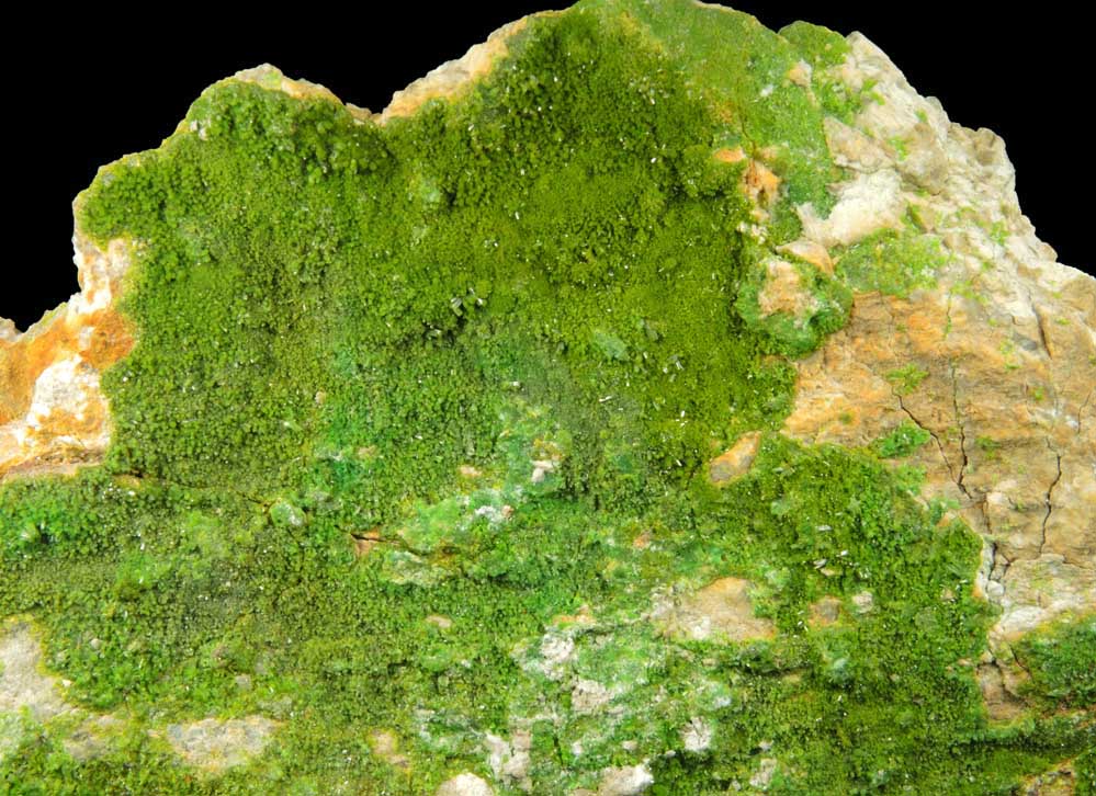 Pyromorphite from Wheatley Mine, Phoenixville District, Chester County, Pennsylvania