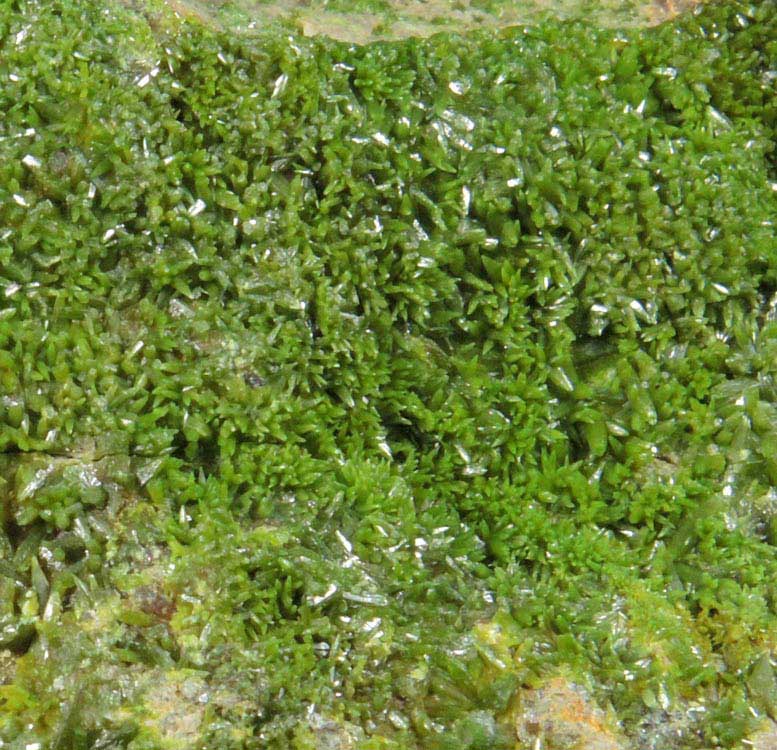 Pyromorphite on Quartz from Wheatley Mine, Phoenixville District, Chester County, Pennsylvania