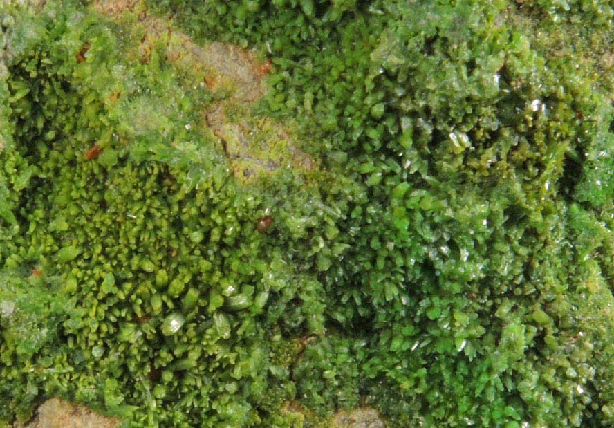 Pyromorphite on Quartz from Wheatley Mine, Phoenixville District, Chester County, Pennsylvania