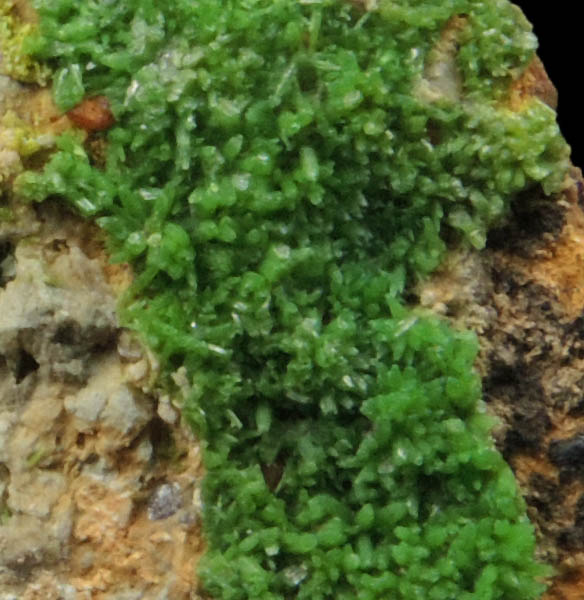 Pyromorphite on Quartz from Wheatley Mine, Phoenixville District, Chester County, Pennsylvania