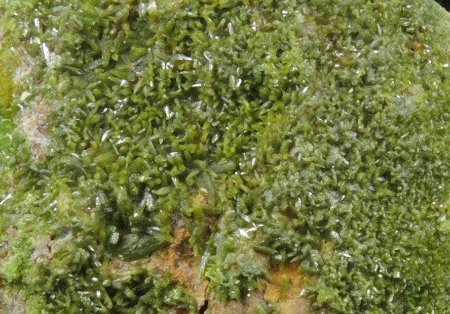 Pyromorphite on Quartz from Wheatley Mine, Phoenixville District, Chester County, Pennsylvania