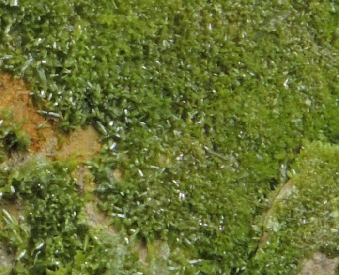 Pyromorphite on Quartz from Wheatley Mine, Phoenixville District, Chester County, Pennsylvania