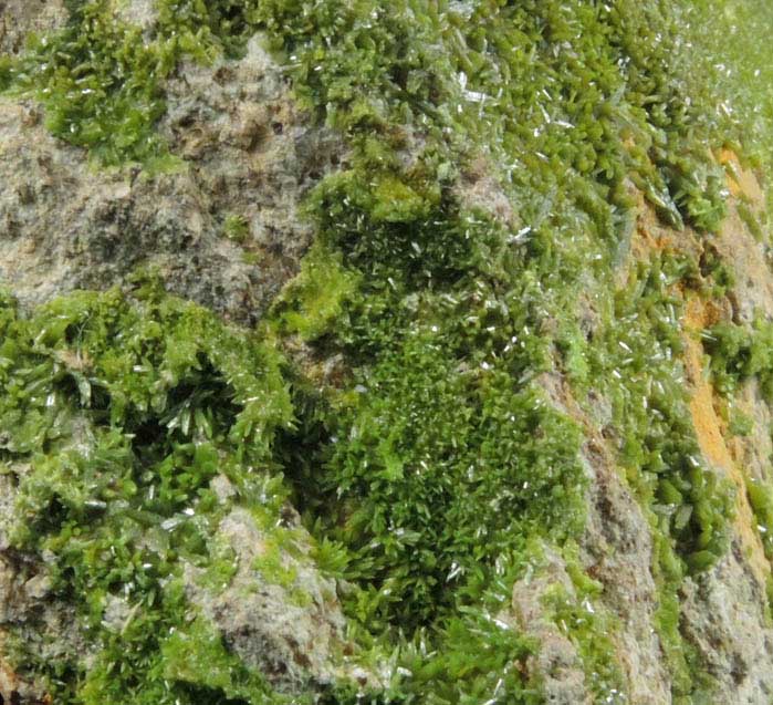 Pyromorphite on Quartz from Wheatley Mine, Phoenixville District, Chester County, Pennsylvania