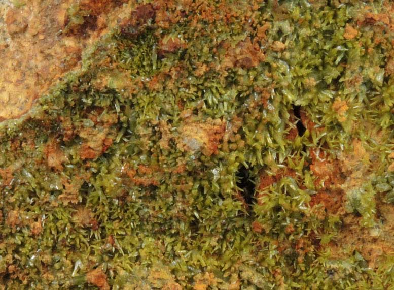 Pyromorphite on Quartz from Wheatley Mine, Phoenixville District, Chester County, Pennsylvania