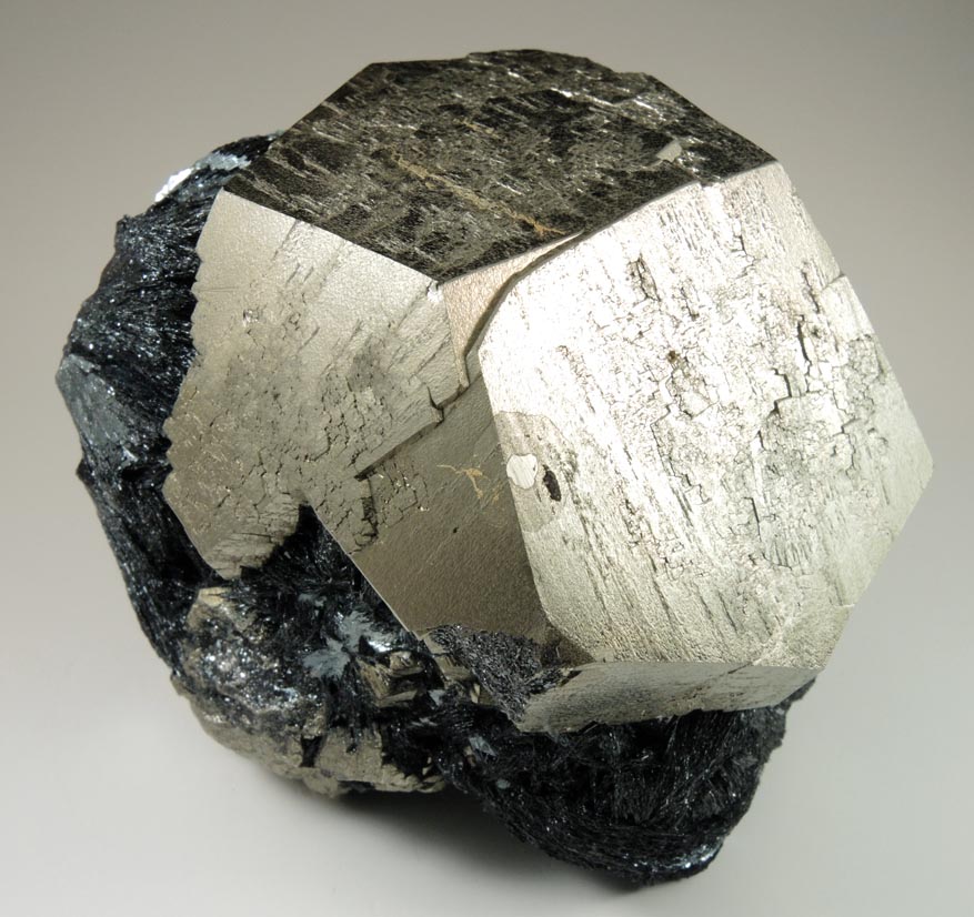 Pyrite in specular Hematite from Valle Giove, Miniera di Rio Marina, Isola d'Elba, Livorno, Italy