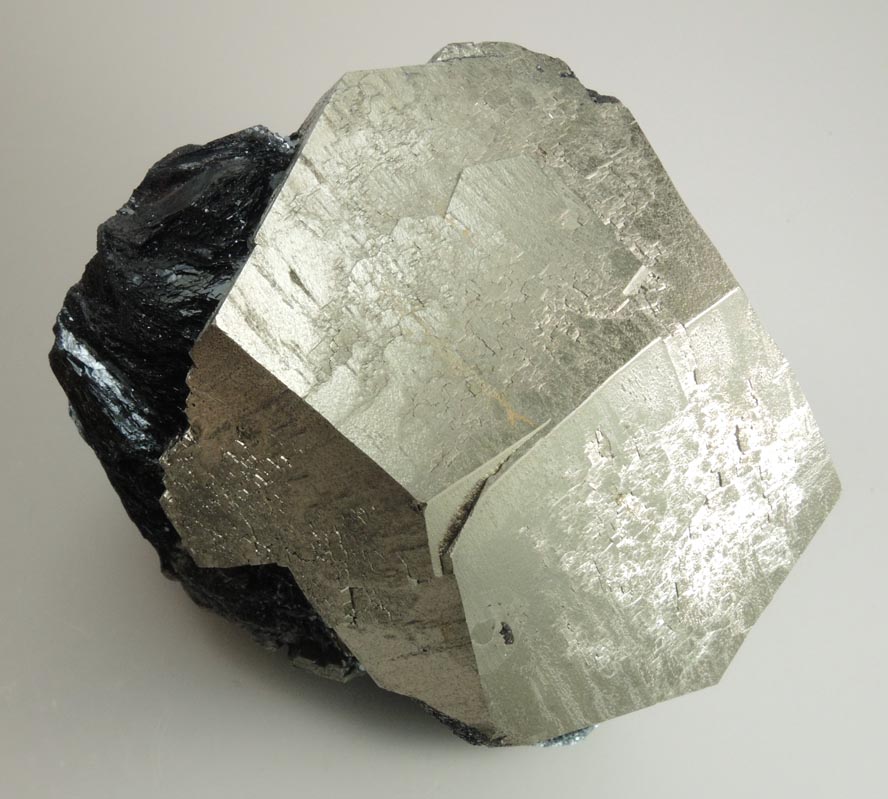 Pyrite in specular Hematite from Valle Giove, Miniera di Rio Marina, Isola d'Elba, Livorno, Italy