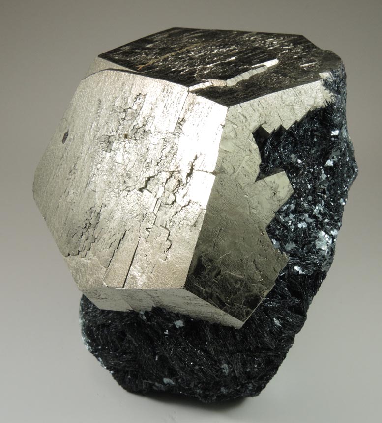 Pyrite in specular Hematite from Valle Giove, Miniera di Rio Marina, Isola d'Elba, Livorno, Italy