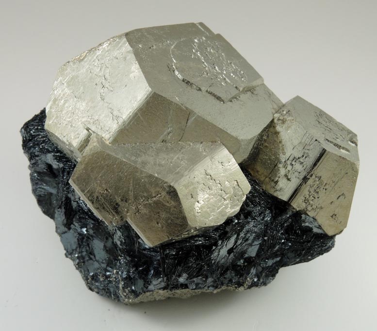 Pyrite in specular Hematite from Valle Giove, Miniera di Rio Marina, Isola d'Elba, Livorno, Italy