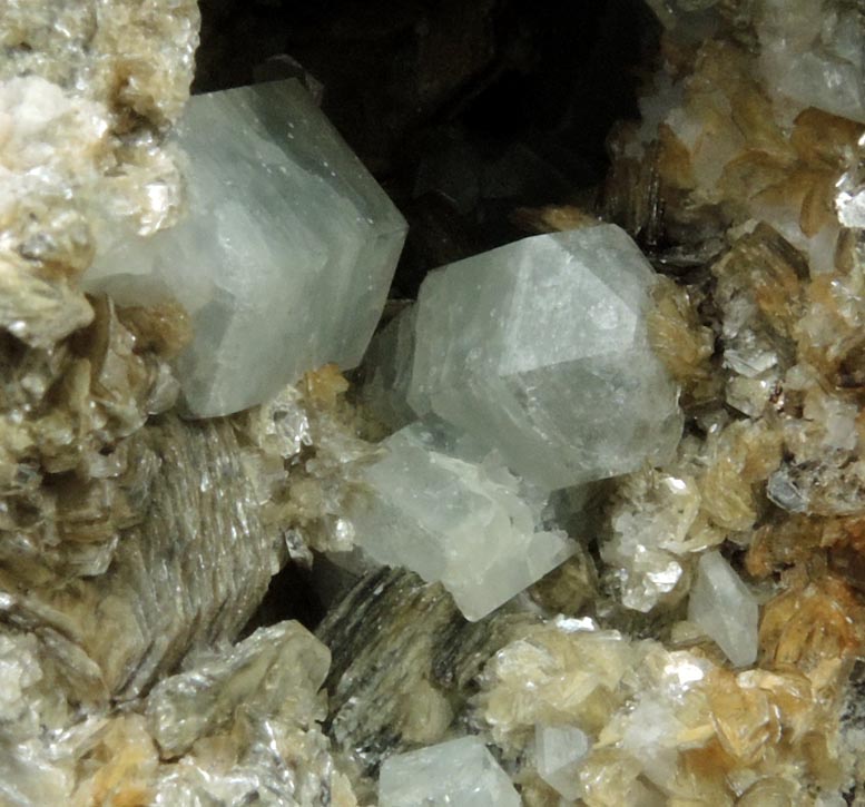 Fluorapatite on Muscovite from Harvard Quarry, Noyes Mountain, Greenwood, Oxford County, Maine