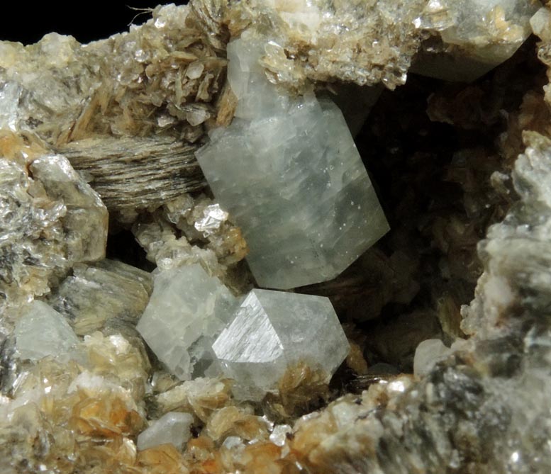 Fluorapatite on Muscovite from Harvard Quarry, Noyes Mountain, Greenwood, Oxford County, Maine