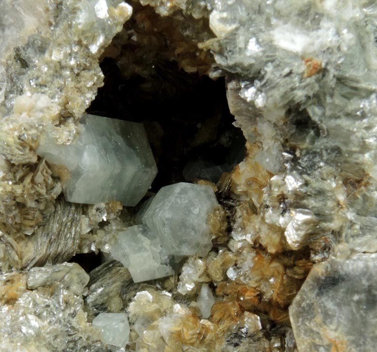 Fluorapatite on Muscovite from Harvard Quarry, Noyes Mountain, Greenwood, Oxford County, Maine