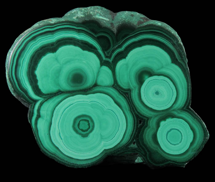 Malachite (concentric growth malachite polished slice) from Kolwezi Mining District, 240 km WNW of Lubumbashi, Katanga Copperbelt, Lualaba Province, Democratic Republic of the Congo