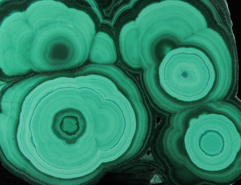 Malachite (concentric growth malachite polished slice) from Kolwezi Mining District, 240 km WNW of Lubumbashi, Katanga Copperbelt, Lualaba Province, Democratic Republic of the Congo