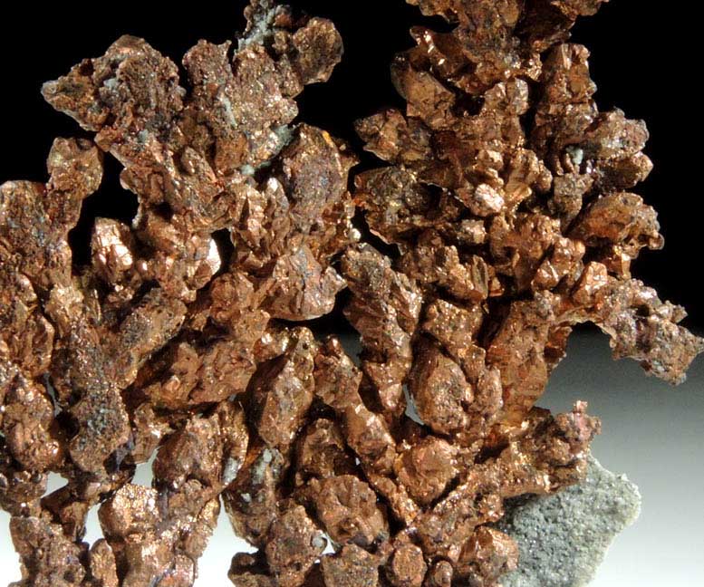 Copper (naturally crystallized native copper) from Dzhezkazgan, Karaganda Oblast', Kazakhstan