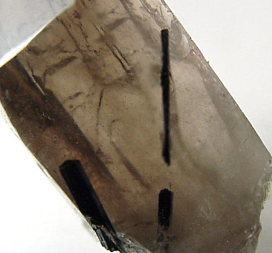 Riebeckite in Smoky Quartz from Montana Mine, Mazama, Washington