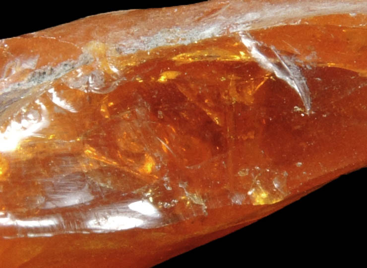 Amber with pollen inclusion from Sayreville Clay Pits, northwest of Kennedy Park, Sayreville, Middlesex County, New Jersey