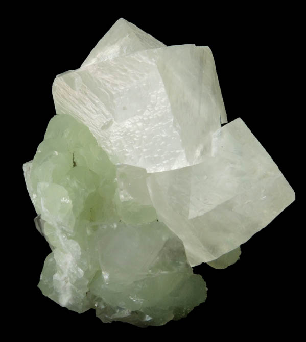 Calcite (interpenetrant-twinned crystals) on Prehnite from Millington Quarry, Bernards Township, Somerset County, New Jersey