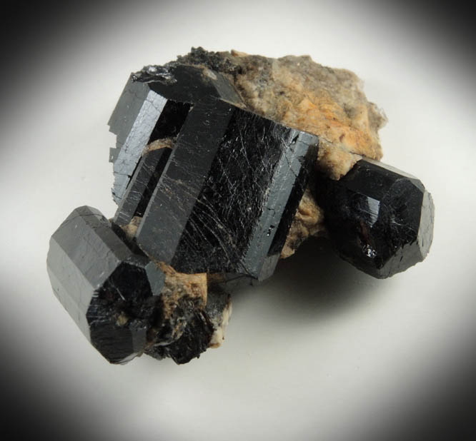 Schorl Tourmaline from ledge above the Harvard Quarry, Noyes Mountain, Greenwood, Oxford County, Maine