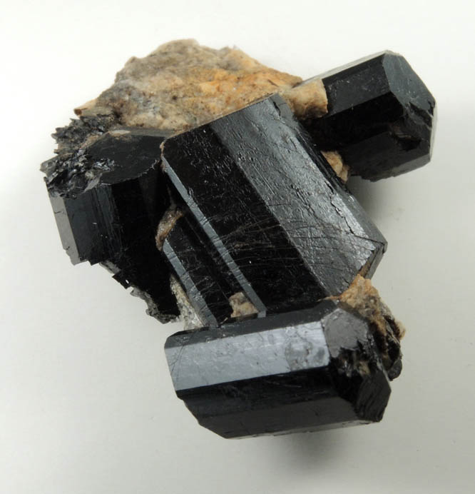 Schorl Tourmaline from ledge above the Harvard Quarry, Noyes Mountain, Greenwood, Oxford County, Maine