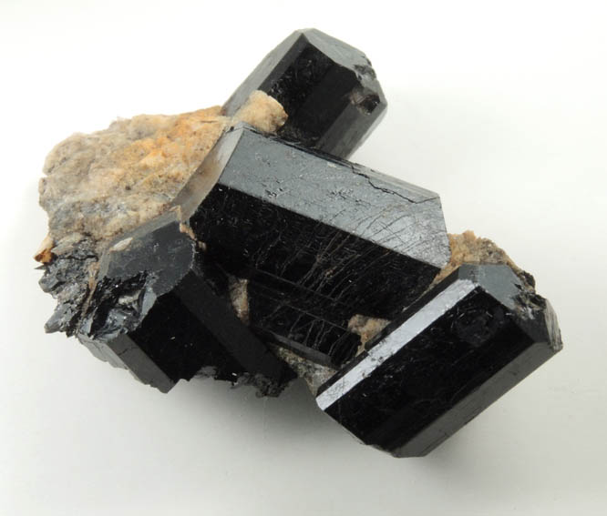 Schorl Tourmaline from ledge above the Harvard Quarry, Noyes Mountain, Greenwood, Oxford County, Maine