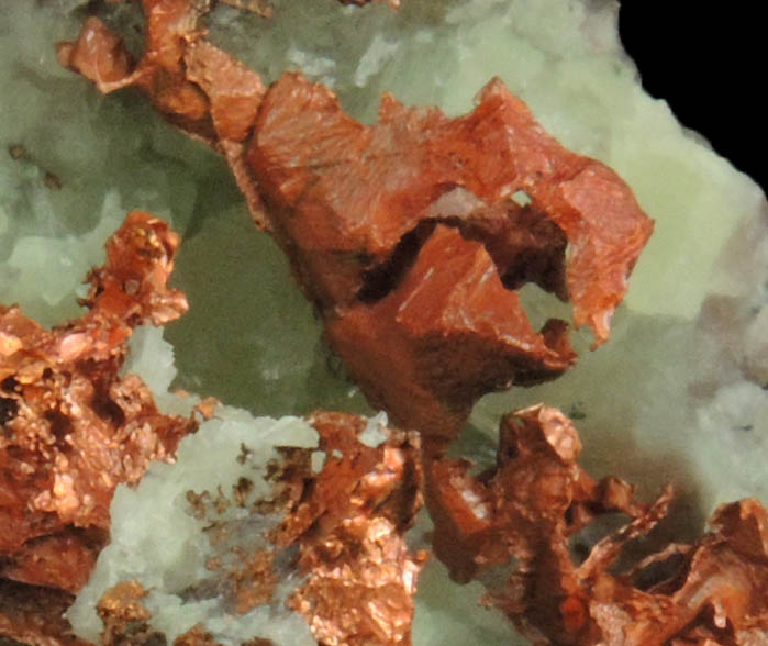 Copper on Prehnite from Osceola Mine, Keweenaw Peninsula Copper District, Houghton County, Michigan