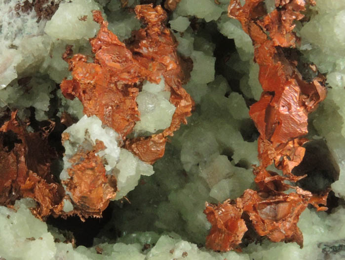 Copper on Prehnite from Osceola Mine, Keweenaw Peninsula Copper District, Houghton County, Michigan