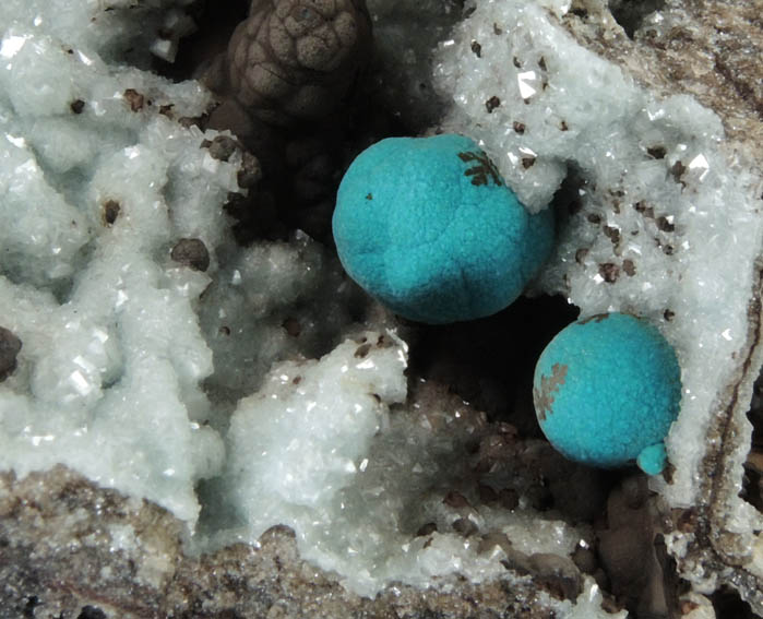 Rosasite on Smithsonite from Silver Bill Mine, Cochise County, Arizona