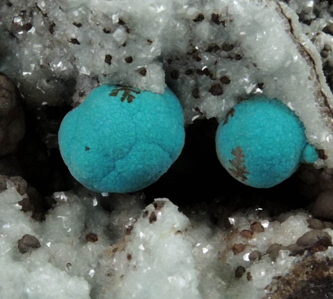 Rosasite on Smithsonite from Silver Bill Mine, Cochise County, Arizona