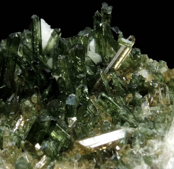 Epidote-Clinozoisite from Alchuri, 15 km NW of Shigar, Baltistan, Gilgit-Baltistan, Pakistan