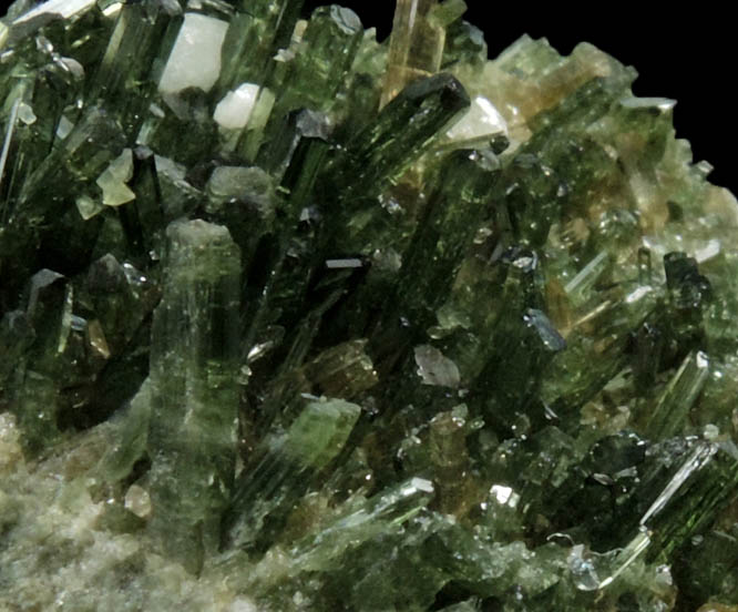 Epidote-Clinozoisite from Alchuri, 15 km NW of Shigar, Baltistan, Gilgit-Baltistan, Pakistan