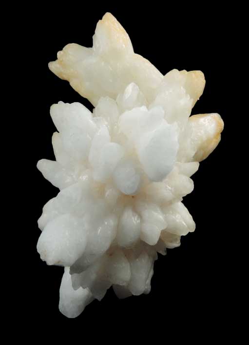 Aragonite-Calcite from New Street Quarry, Paterson, Passaic County, New Jersey