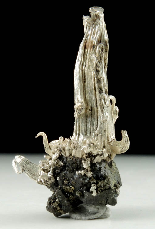 Silver on Acanthite pseudomorphs after Argentite from Bulldog Mine, 9300 Level, Creede, Mineral County, Colorado