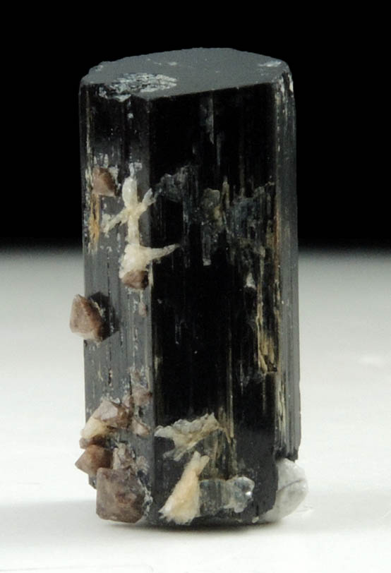 Arfvedsonite (rare terminated crystal) with Zircon from Hurricane Mountain, east of Intervale, Carroll County, New Hampshire