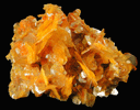 Mimetite and Wulfenite from San Francisco Mine, Cerro Prieto, north of Cucurpe, Sonora, Mexico