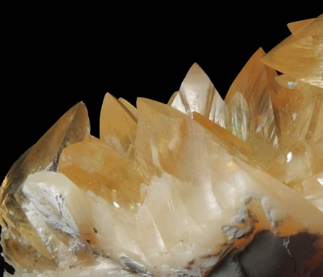 Calcite from Ruck's Pit Quarry, Fort Drum, Okeechobee County, Florida