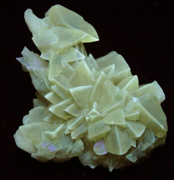 Calcite from Ruck's Pit Quarry, Fort Drum, Okeechobee County, Florida