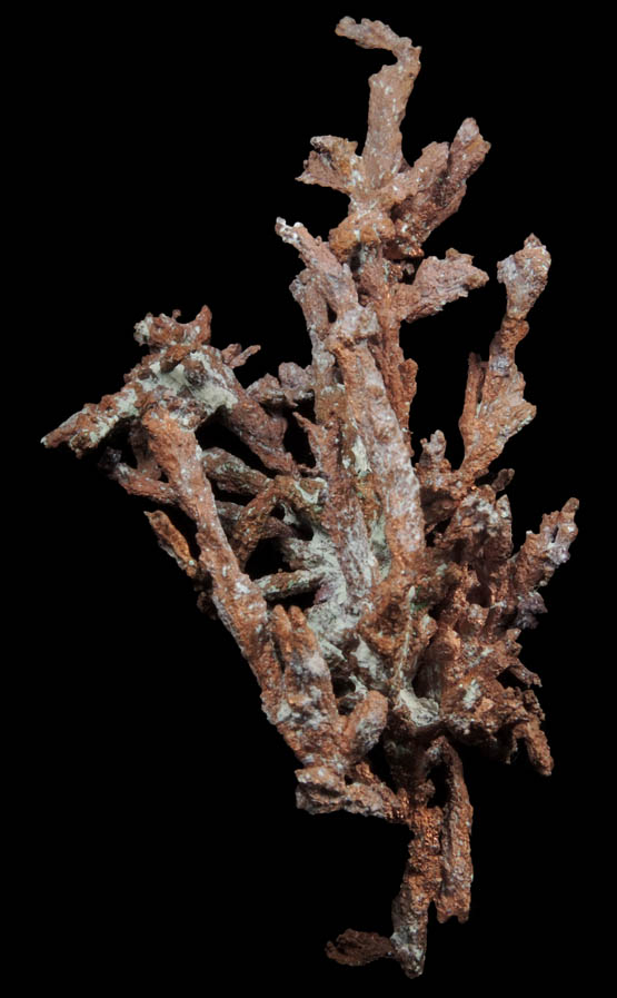 Copper (naturally crystallized native copper) from Itauz Mine, Karaganda Oblast', Kazakhstan