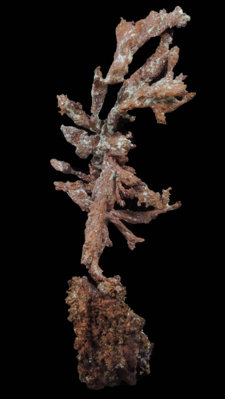 Copper (naturally crystallized native copper) from Itauz Mine, Karaganda Oblast', Kazakhstan