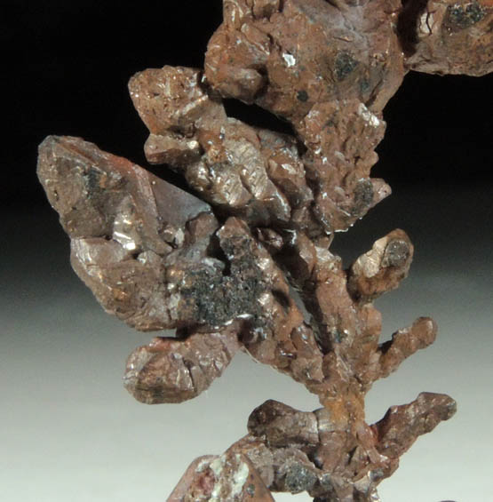 Copper (naturally crystallized native copper) from Bisbee, Warren District, Cochise County, Arizona