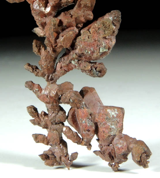 Copper (naturally crystallized native copper) from Bisbee, Warren District, Cochise County, Arizona