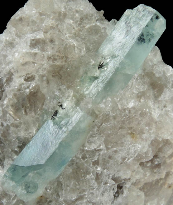 Beryl var. Aquamarine from north ridge of Long Hill, Haddam, Middlesex County, Connecticut